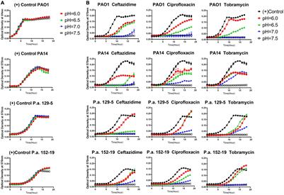 Acidic Microenvironment Determines Antibiotic Susceptibility and Biofilm Formation of Pseudomonas aeruginosa